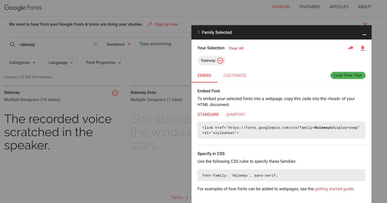 Scaricare font da Google Fonts
